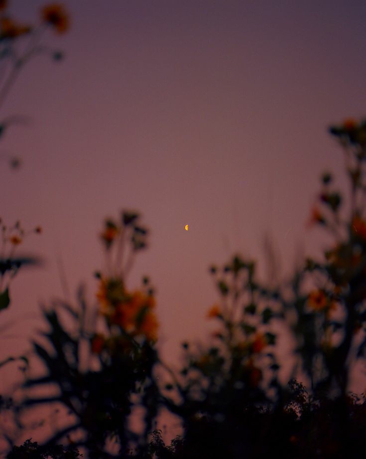 moon
