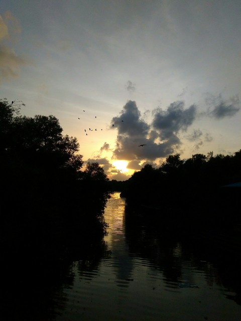 sunset