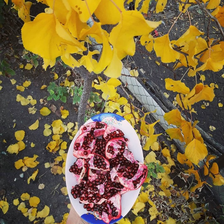 autumn