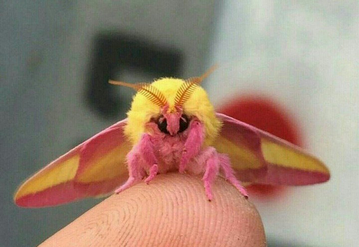 ❤❤❤