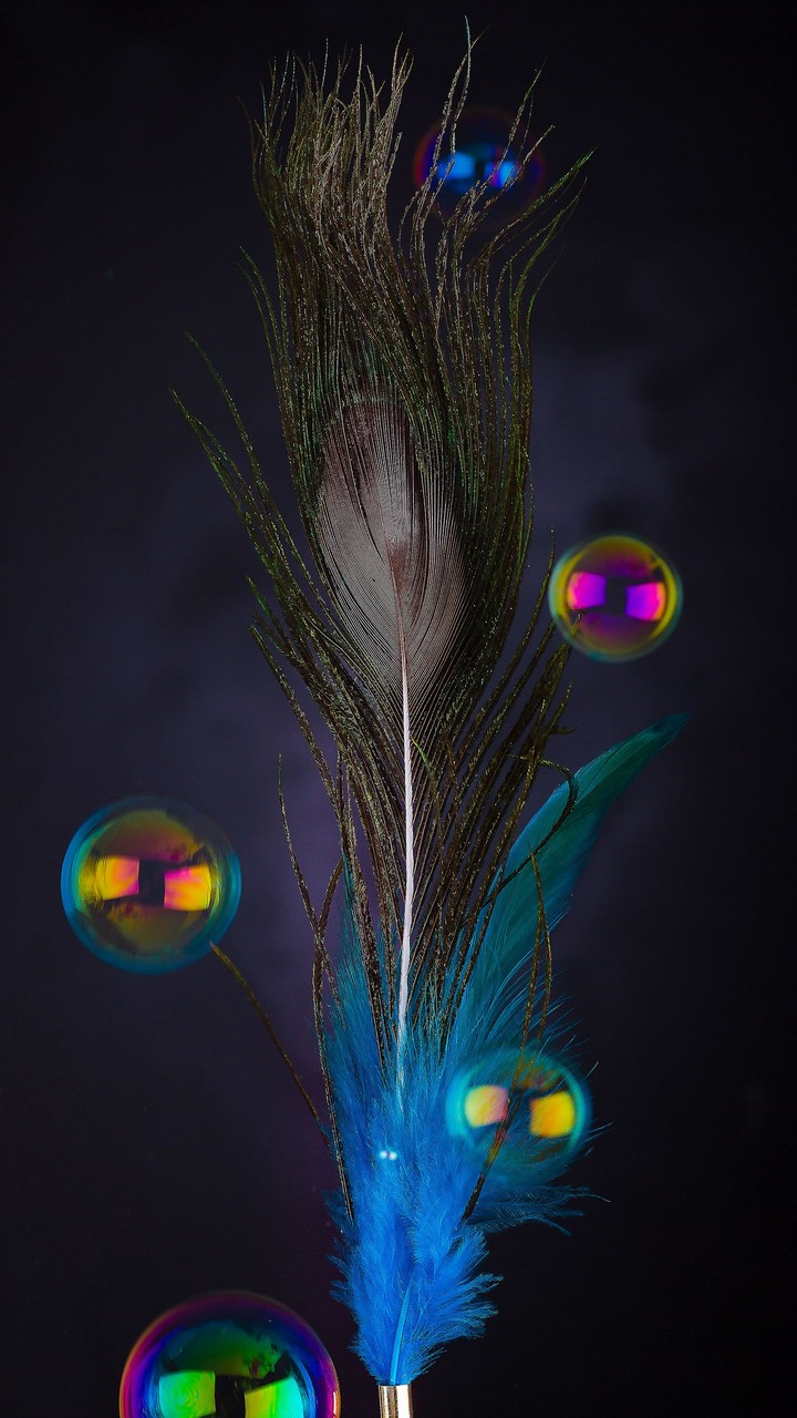 Feathers & Bubbles