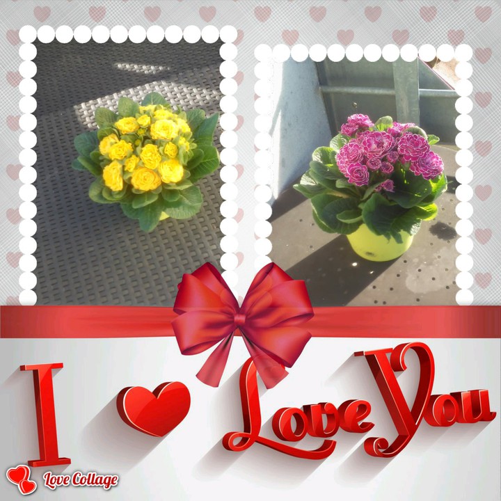 Blumen