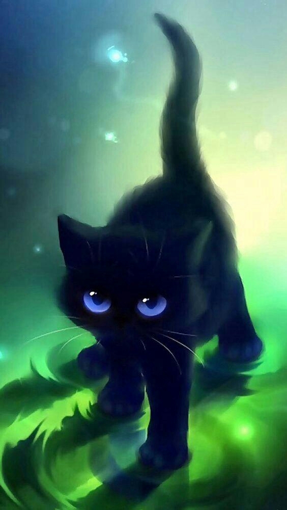 cat on the water