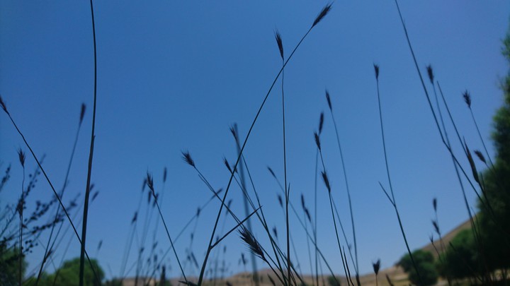 sky