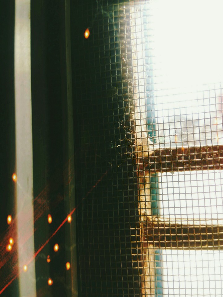 window