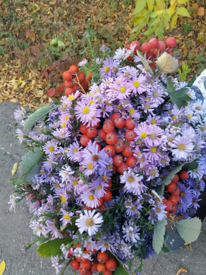 осенний букет