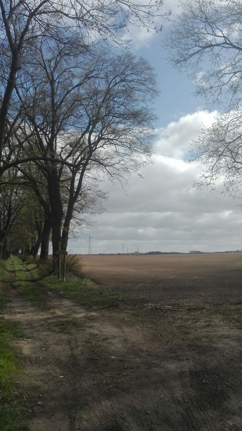 go that way