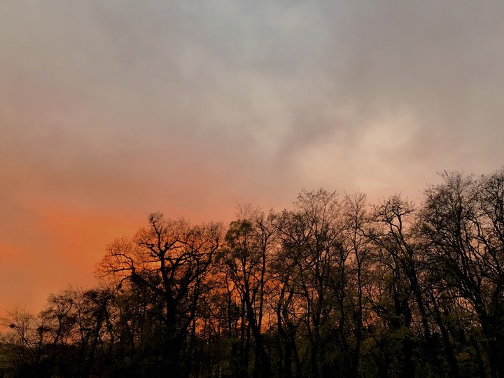 Maksimir, Zagreb