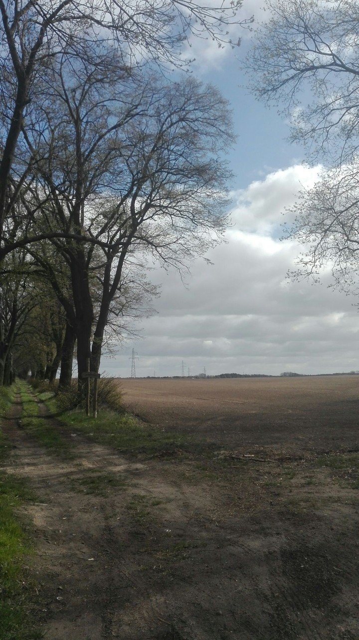 go that way