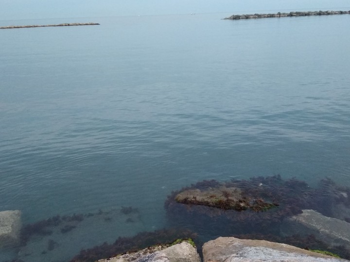 #calm_ sea #no_filter