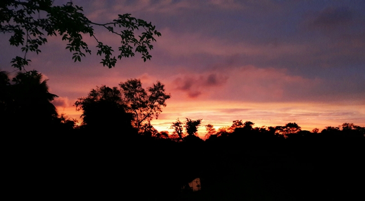 Beautiful nature