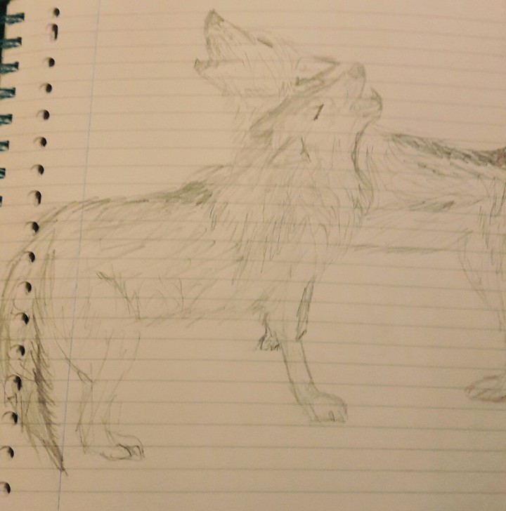 Drawn Wolves