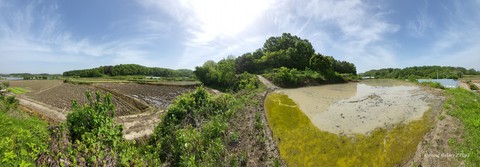 landscapes, Water壁紙