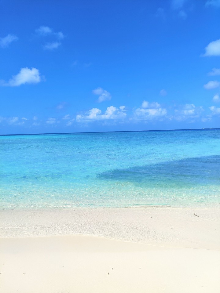 sea