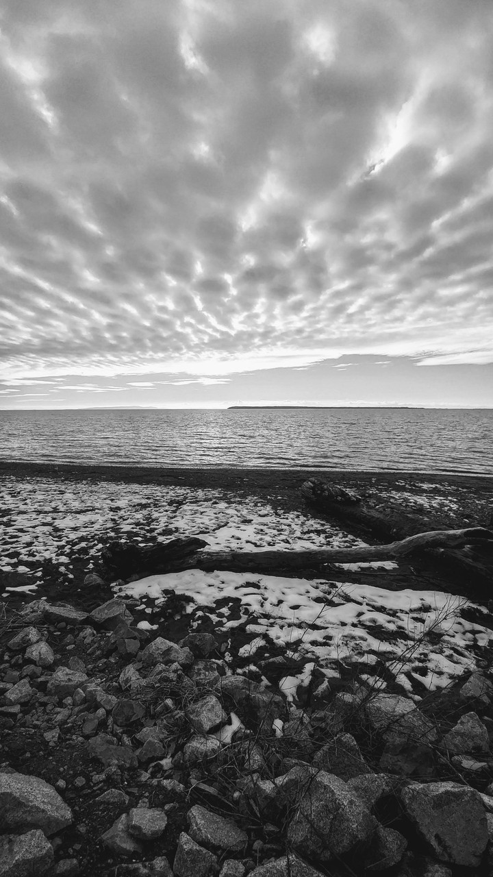 beach in winter