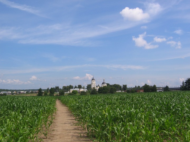 поле