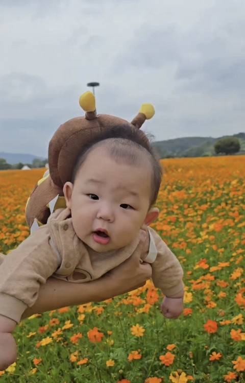 Yellow, Green, Agriculture
