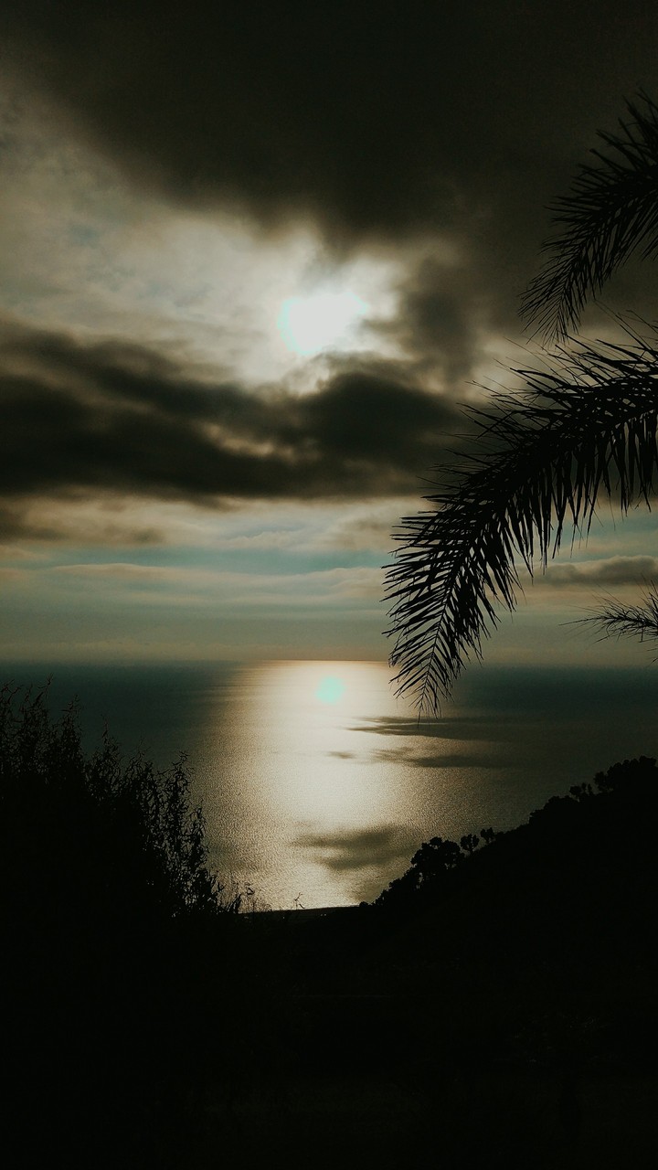 golden horizon