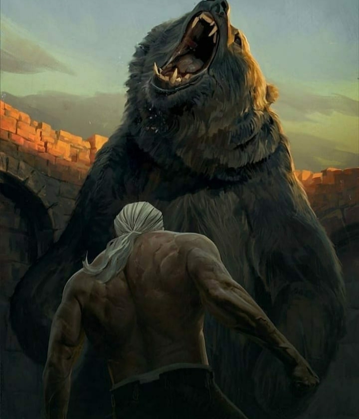 The witcher