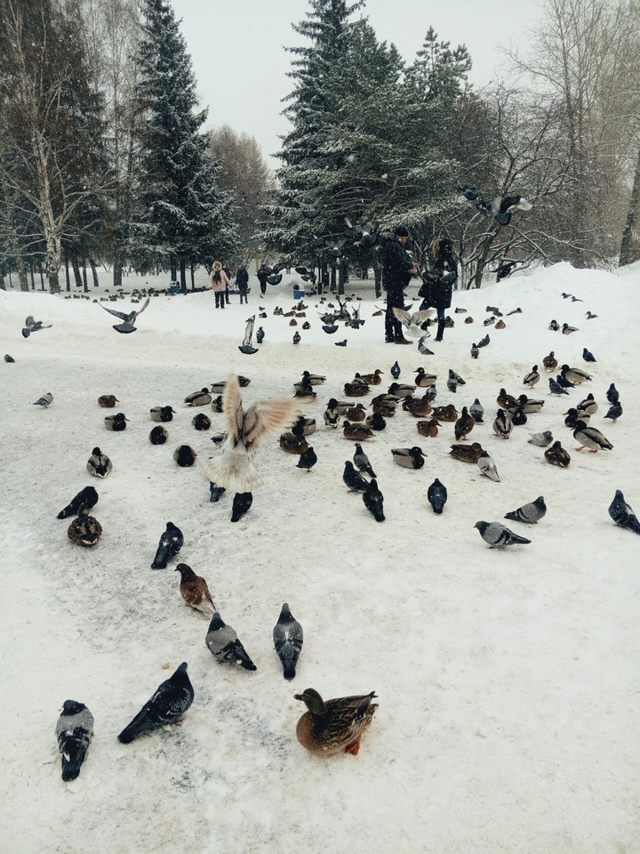 siberia