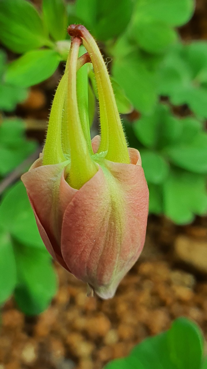 외계인???
