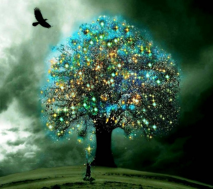 Glowing Tree