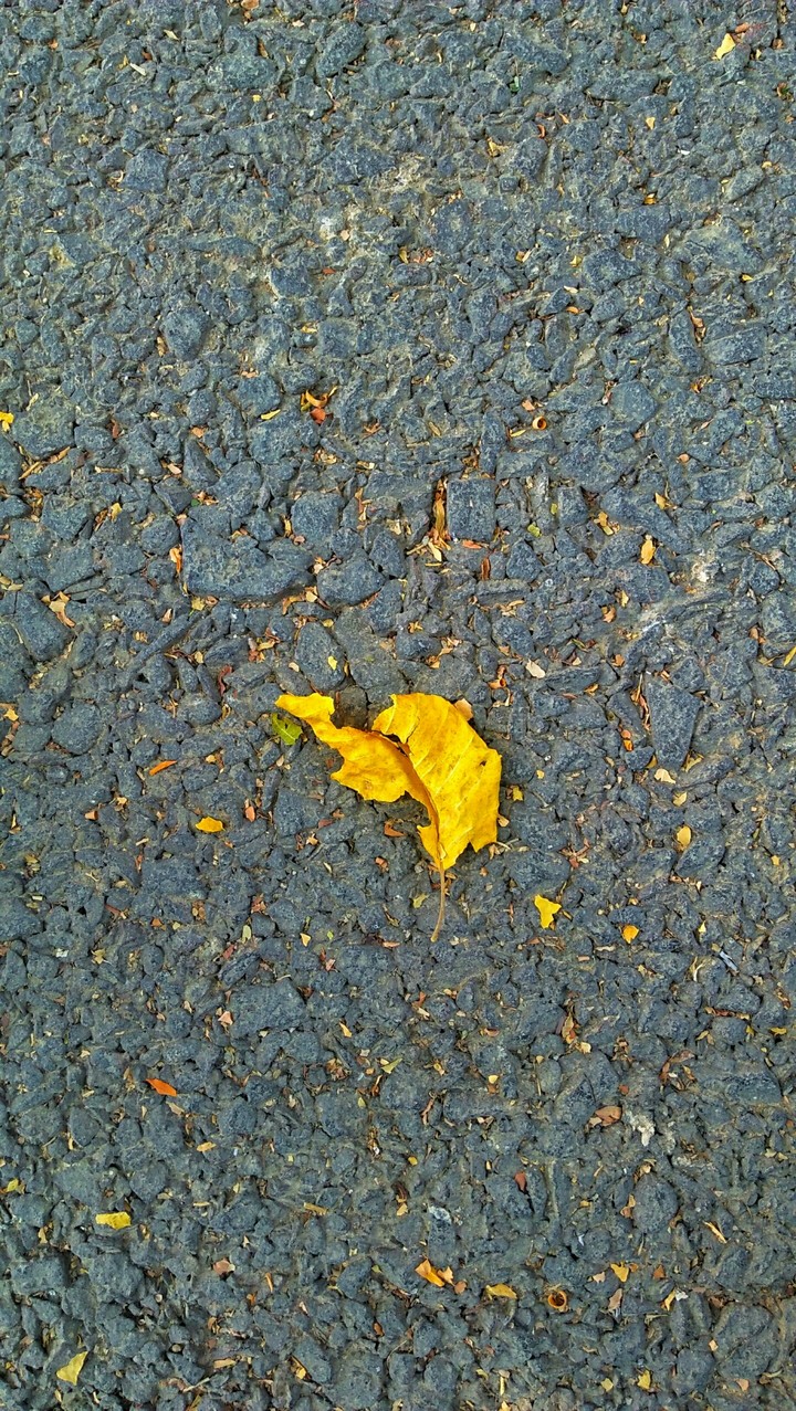 The beauty of nature