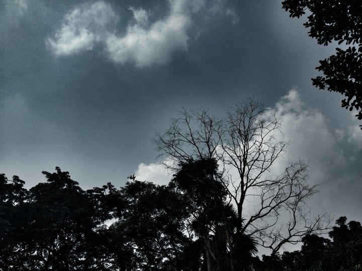sky