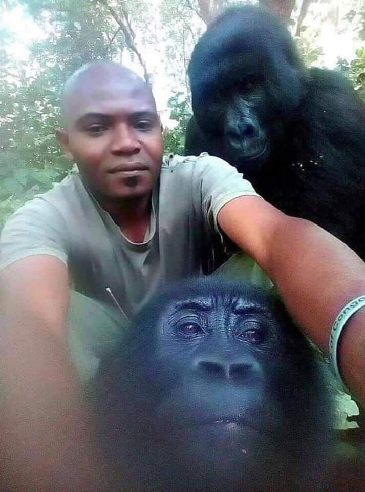 goryl