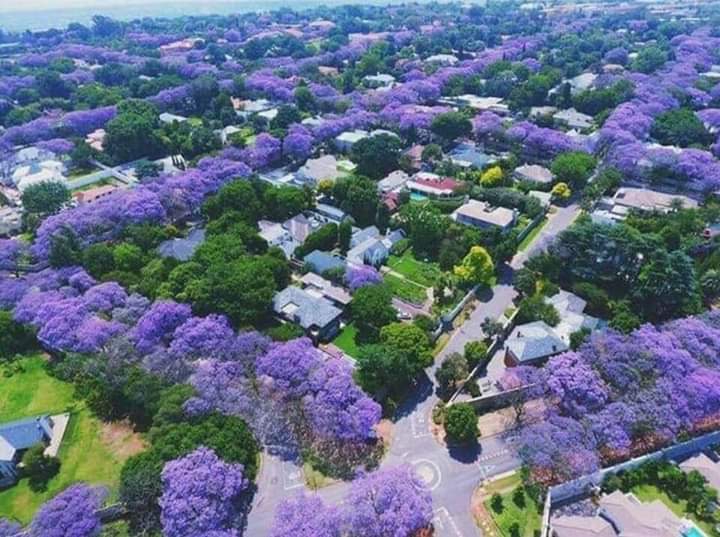Harare now