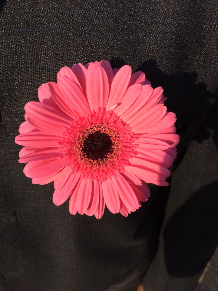 My flower