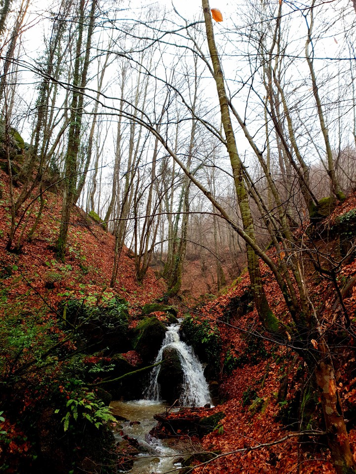 waterfall