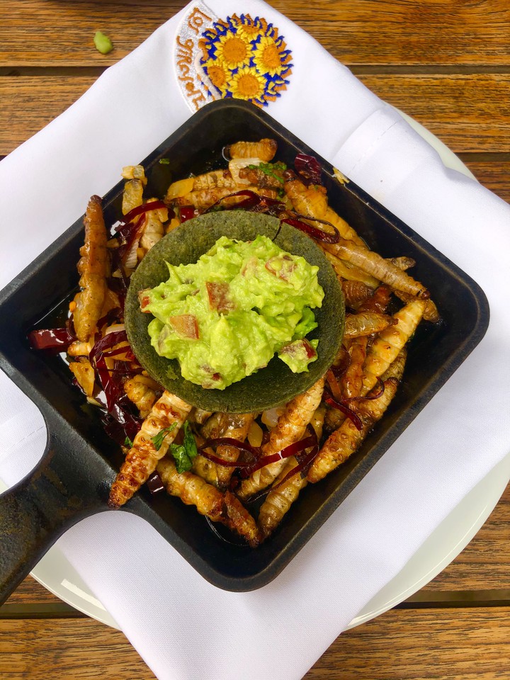 Gusanos de Maguey con Guacamole
