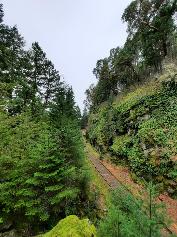 Train to the past