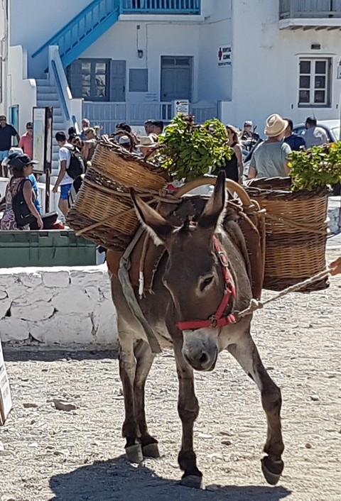 Mykonos