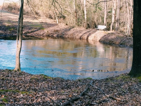 Frozen Pond