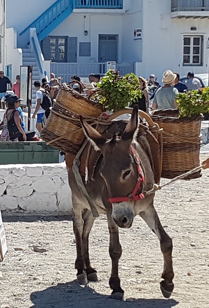 Mykonos