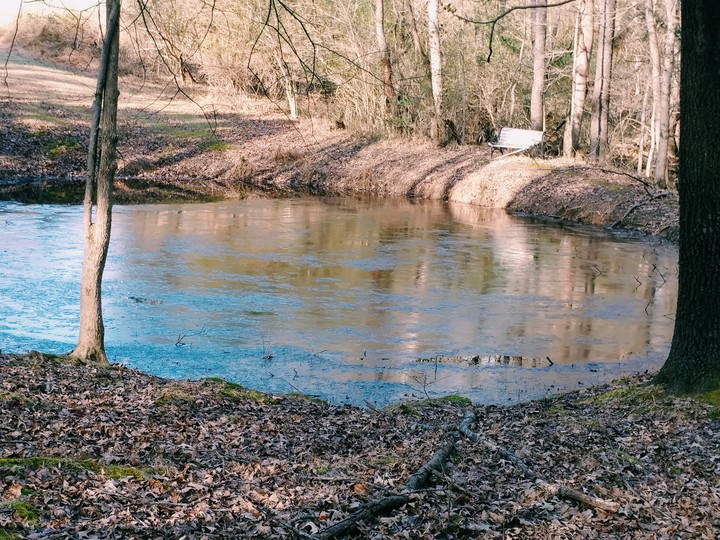Frozen Pond