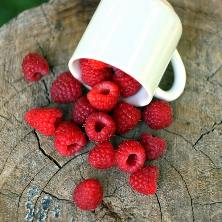 Raspberries