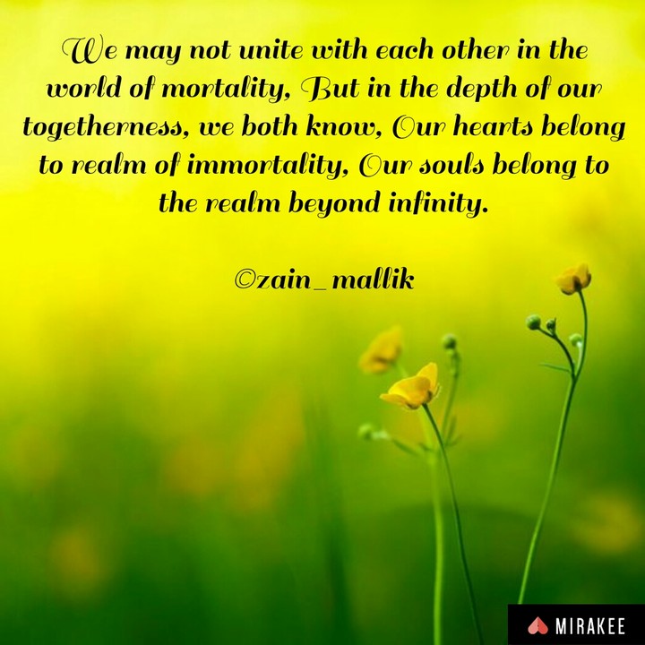 Literature by#Zain Mallik