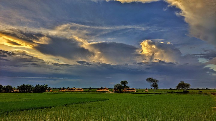 natural