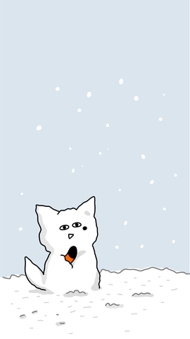 ????котик????