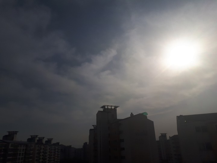 맑은 아침 햇살