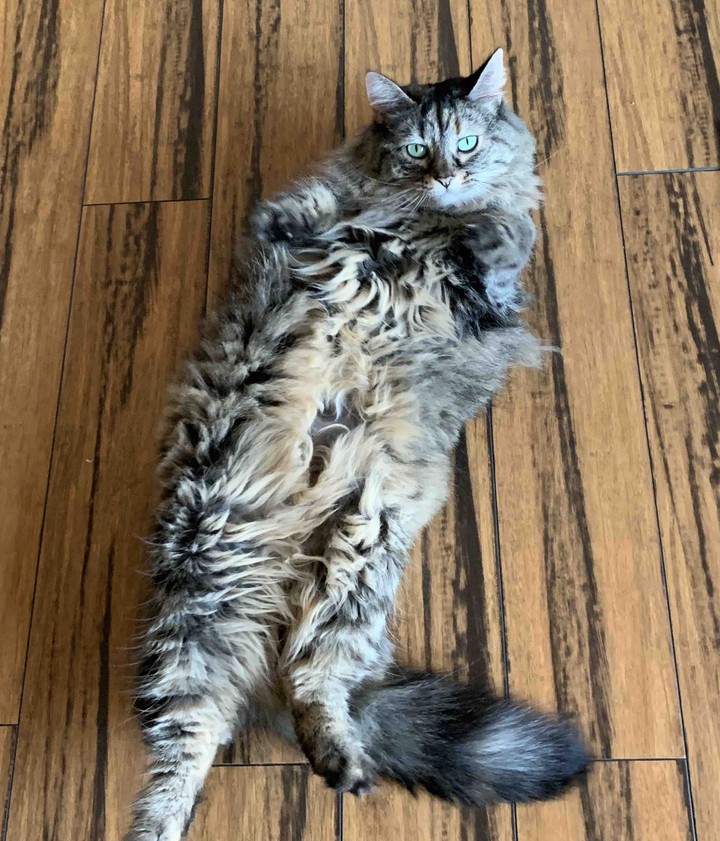 Miss Cora