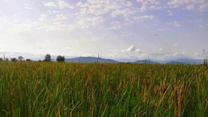 Siahkal Nature