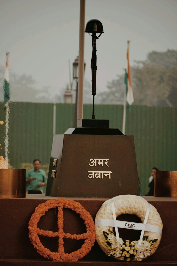 Amar Jawan Jyoti in Delhi India Gate