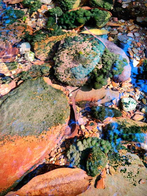 in water