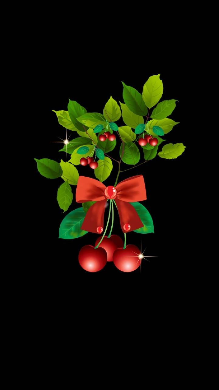 Holly Berrys