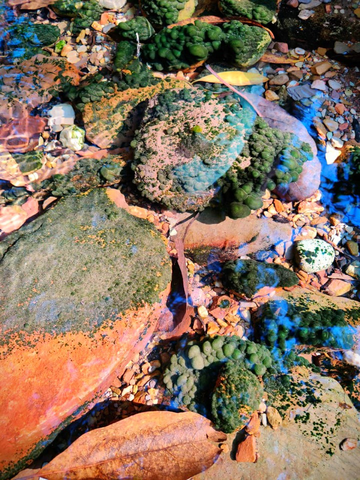 in water