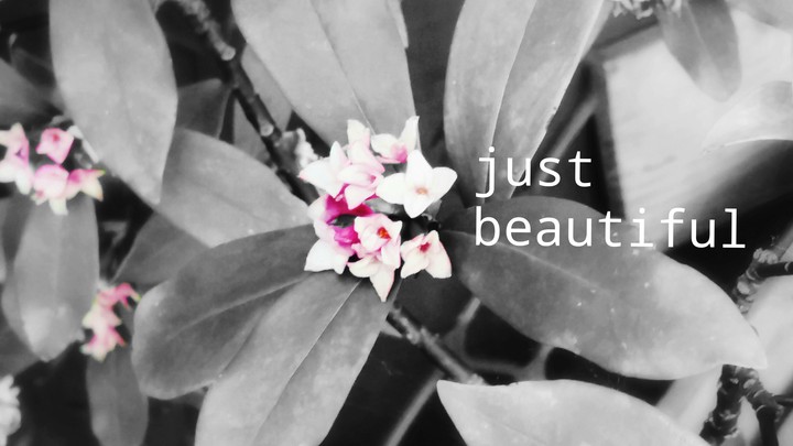 Just beautiful